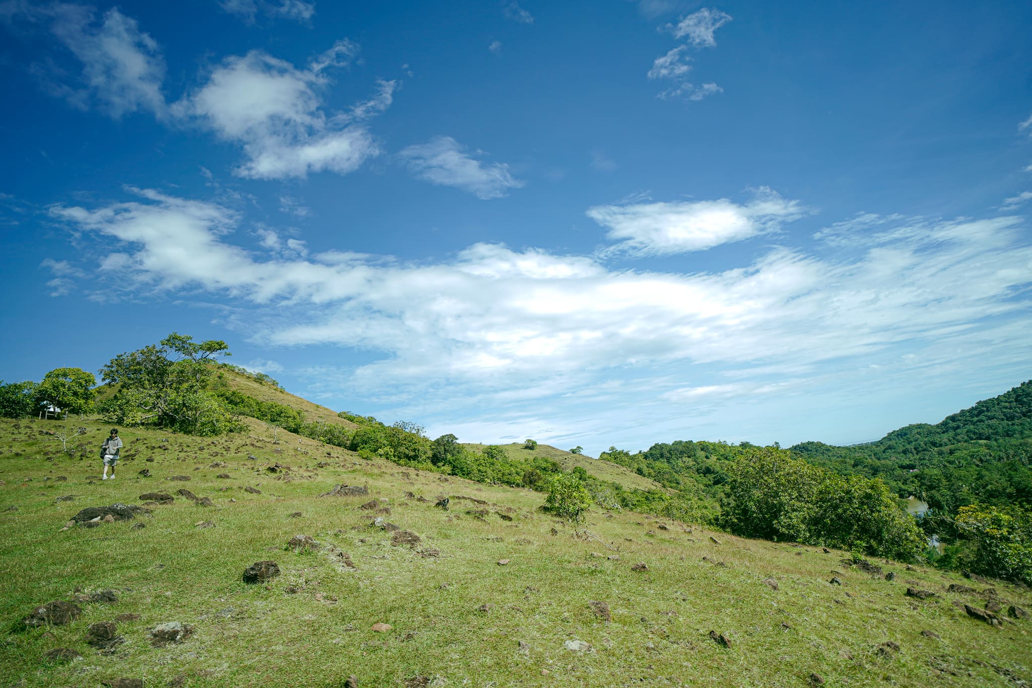 Dasar Bukit