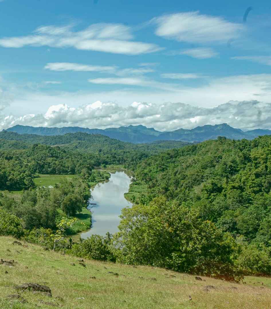 Nature View